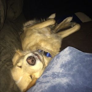 Meet your Posher, Michael